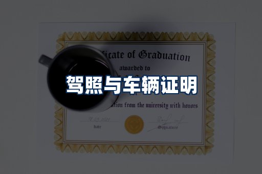 车辆证明展示
