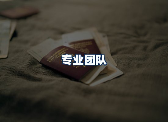 专业团队